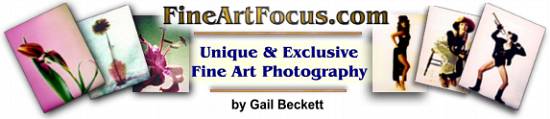 fine art photography, flower pictures, professional photography, flower photos, commercial photography, art photography